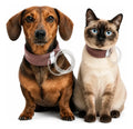 Colar para Sonda Esofágica Pet para Cães e Gatos