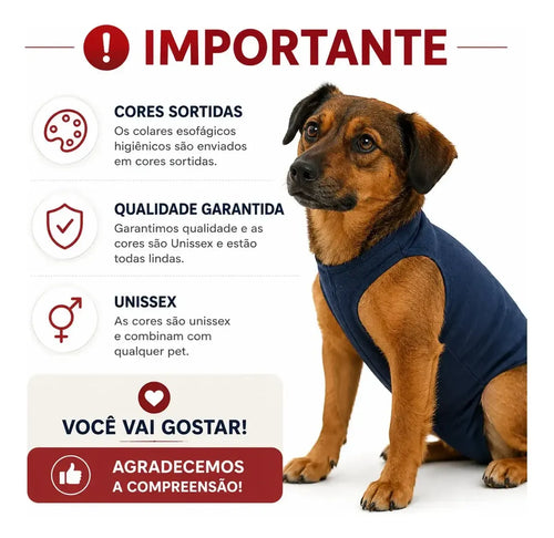 Colar para Sonda Esofágica Pet para Cães e Gatos
