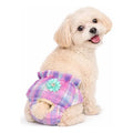 Calcinha Pet Higiênica com 5 Absorventes