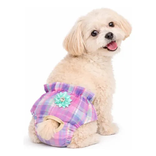 Calcinha Pet Higiênica com 5 Absorventes