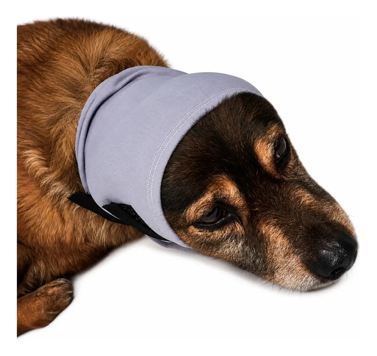 Protetor Auricular para Cachorro Week Pet – Abafador de Ruído, Proteção para Banho, Tosa e Otohematoma