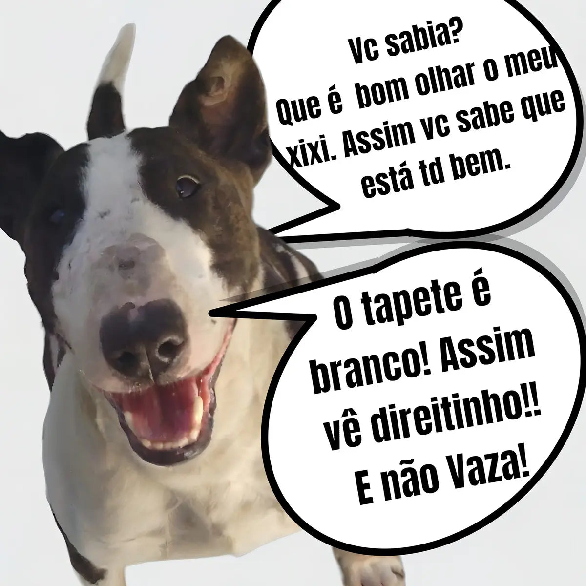 KIT 2 TAPETES HIGIÊNICOS LAVÁVEIS PARA CACHORROS – REUTILIZÁVEIS E IMPERMEÁVEIS