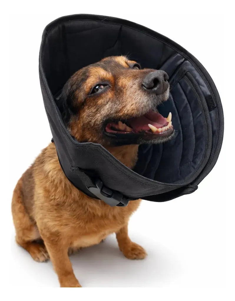 Cone Colar Elizabetano para Cães e Gatos Ajustável