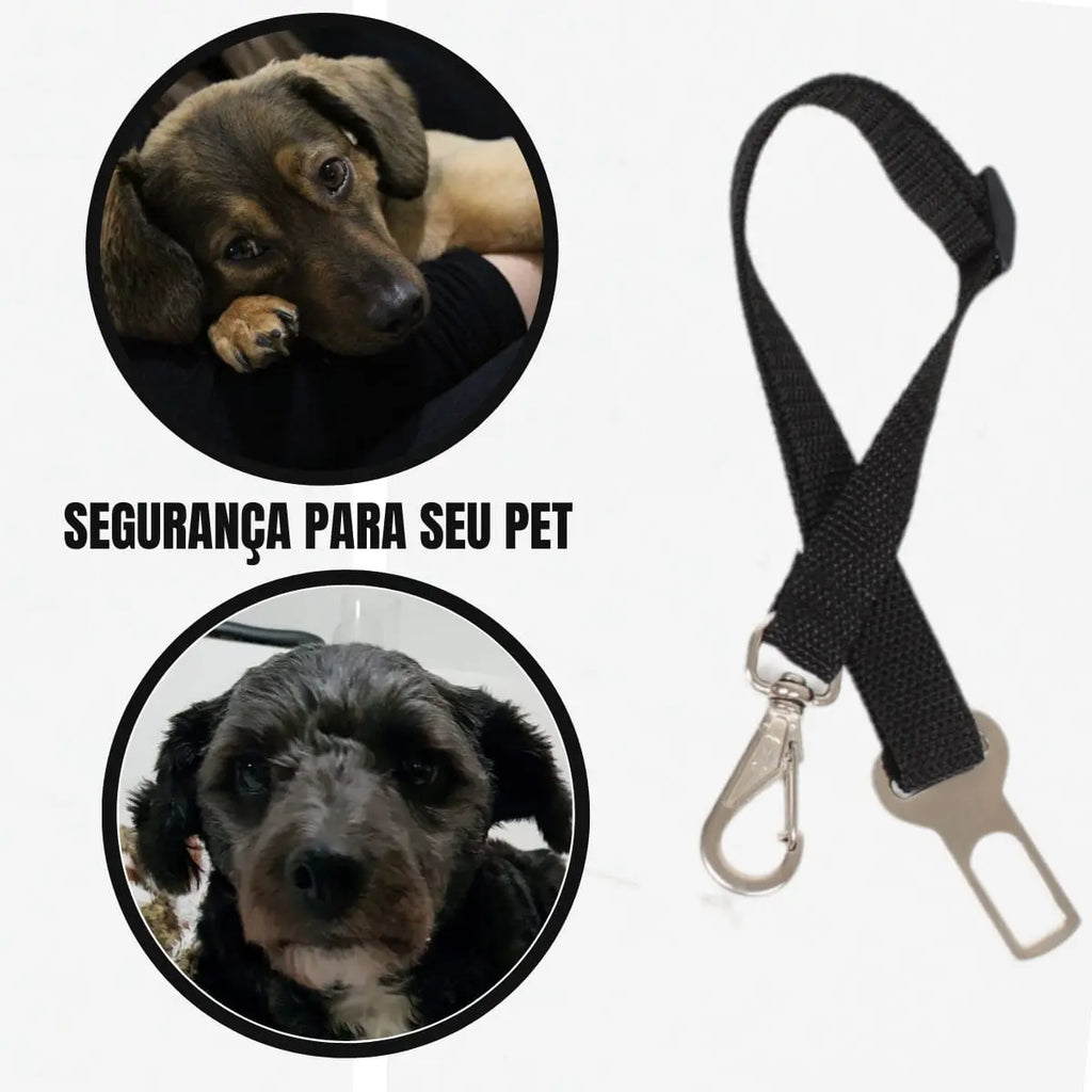 Cinto Segurança Coleira Pet Universal Cachorro Gato Cor Preto