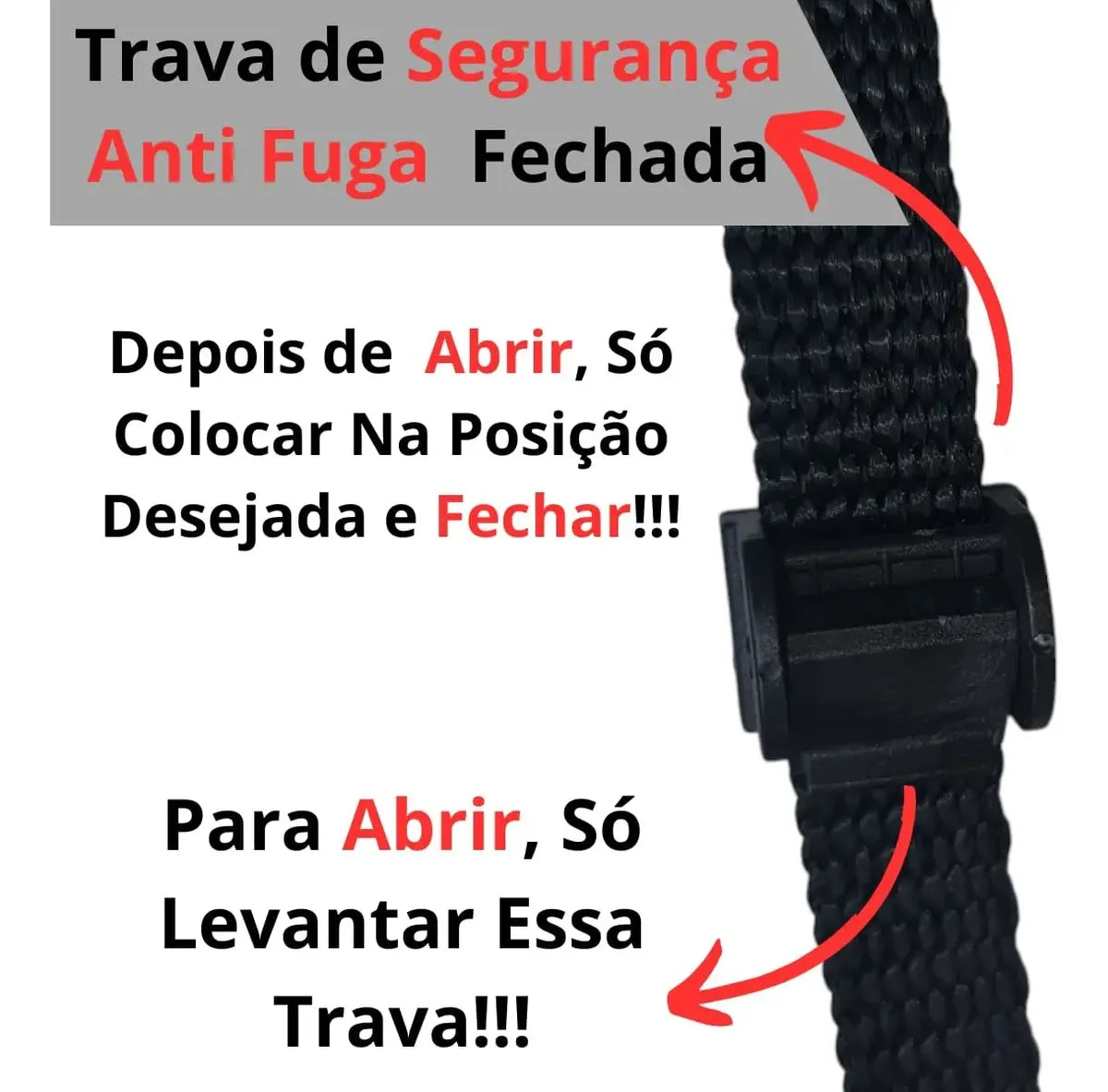 Guia Unificada para Adestramento e Passeio (Coleira Enforcador)